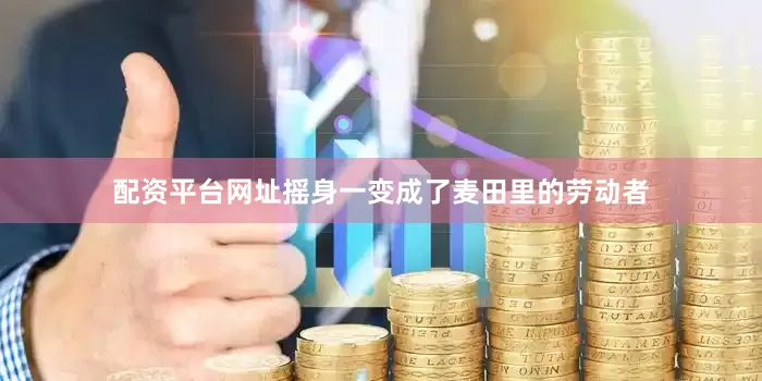 配资平台网址摇身一变成了麦田里的劳动者
