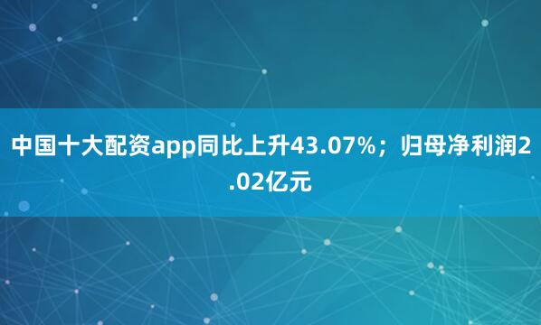 中国十大配资app同比上升43.07%；归母净利润2.02亿元