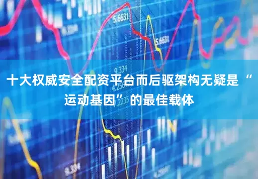 十大权威安全配资平台而后驱架构无疑是 “运动基因” 的最佳载体