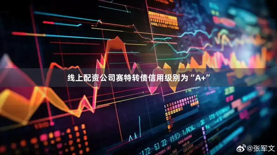 线上配资公司赛特转债信用级别为“A+”